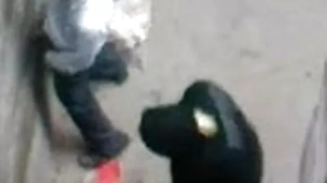 - - - एयर अंग्रेजी सेक्सी फिल्म फुल एचडी
