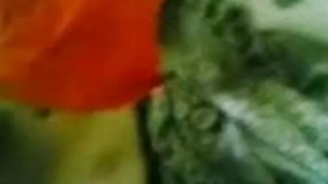 शांति और बिली के साथ फिस्टिंग सेक्सी मूवी फुल मूवी एचडी अभ्यास