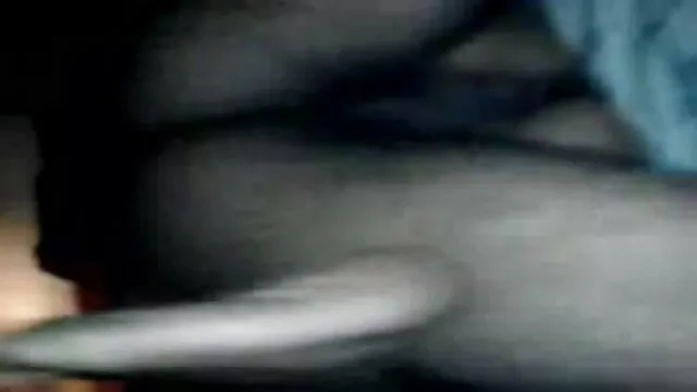 धूम्रपान गर्म सेक्सी फिल्म फुल एचडी वीडियो बीएफ लड़कियां प्रत्येक पर नीचे गीटिंग कर रहे हैं