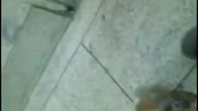 गर्म लड़कियों का सबसे अच्छा चाहता था सेक्सी वीडियो एचडी में फुल मूवी