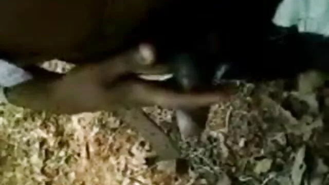 बीबीसी के सेक्सी मूवी बीएफ फुल एचडी सामने उसके नए व्यभिचारी पति प्रेमी